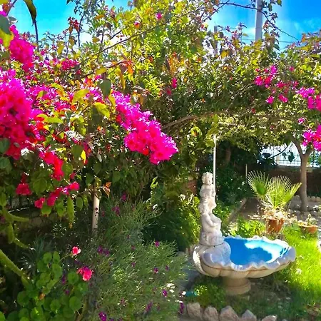 Апартаменты Tripepi *